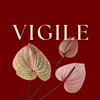 Vigile.co