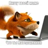 bobr_aleksandr