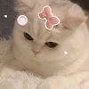 mirass.here