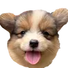 Grumpy Dogs PH