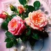 fleurpeace3