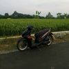 donz.fauzan