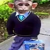 bibisiana1
