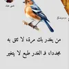 user57562154038862