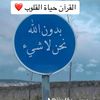 user81037887193058