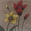 jasmin7199