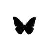 black_butterfly.282