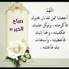 user2353467818155