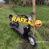 rafi25811