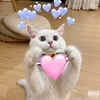 _sionyoungsingg
