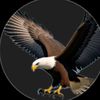 malik.abdullah0355