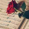tahani.ahmed5