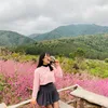 hoitramhuong
