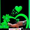 user20370329124817