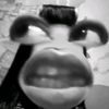utramilk.tarooo0