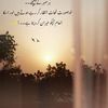 mamoona.tabassum