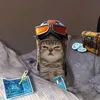 zffkielll