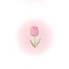 hanyrg143