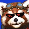 mrraccon2