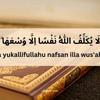 islamic.videos5107