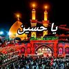 user434251620081
