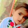 bashir.ahmad798