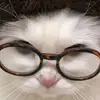 littlesstar_008