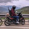 susenowahyudi_