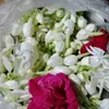 amoy_870
