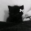 user3661728436945