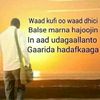 user77266679623334