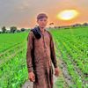 m.raees164