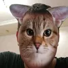 punc_333