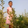 md.rephone