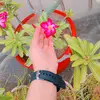 iqra.khan488