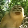 brookoooj