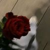 user83710902675976