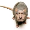 ratateteta