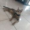 muhammadaarifeen8