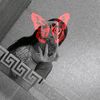 niky_12333