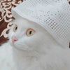 alihaiderba3