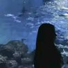 syaa_12303