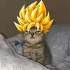 peteq23