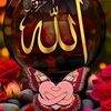 masoud.ahmed00