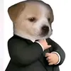 letruongcapcut