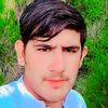 shareefzada5777