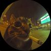 lionjreacts_offic