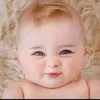 user184361491