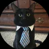 the1blackcat