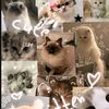 maryem.hamdi65